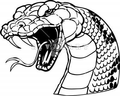 Viper Snake Drawing - Gallery