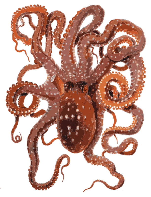 Clipart - Request Cute Octopus