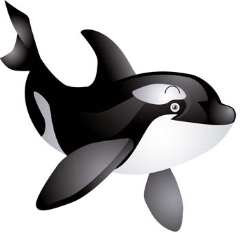 Killer Whale Clipart Black And White - Gallery