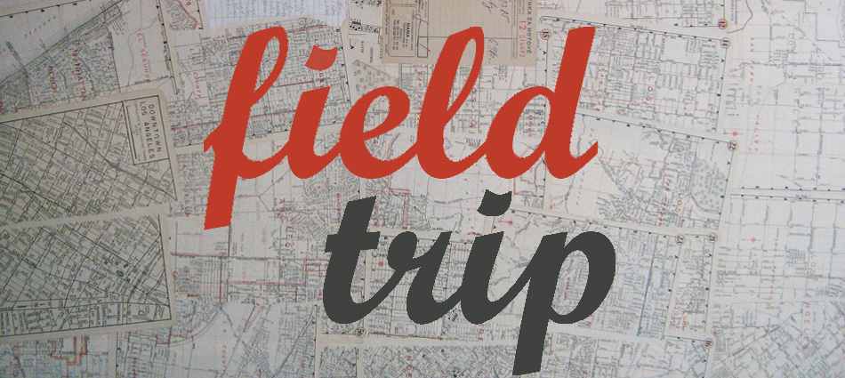Field Trip Essay