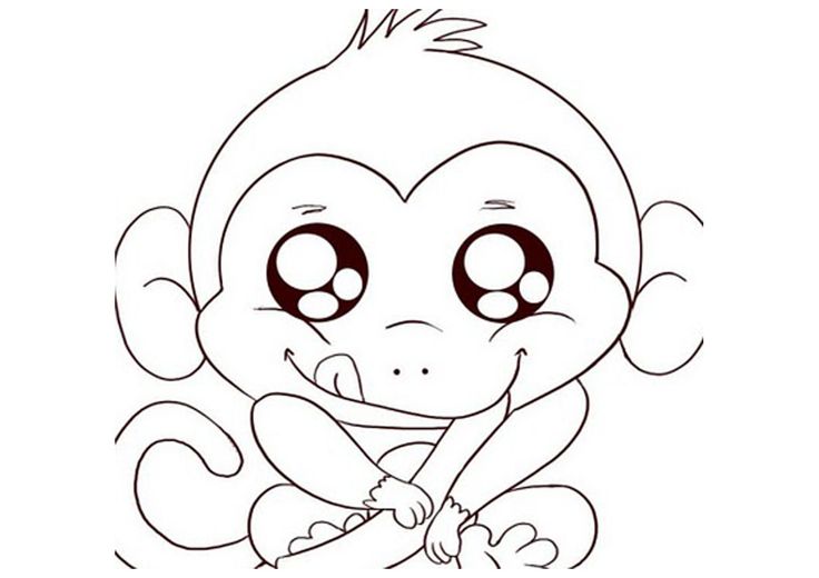 Cute Baby Monkey Sketch images & pictures - NearPics