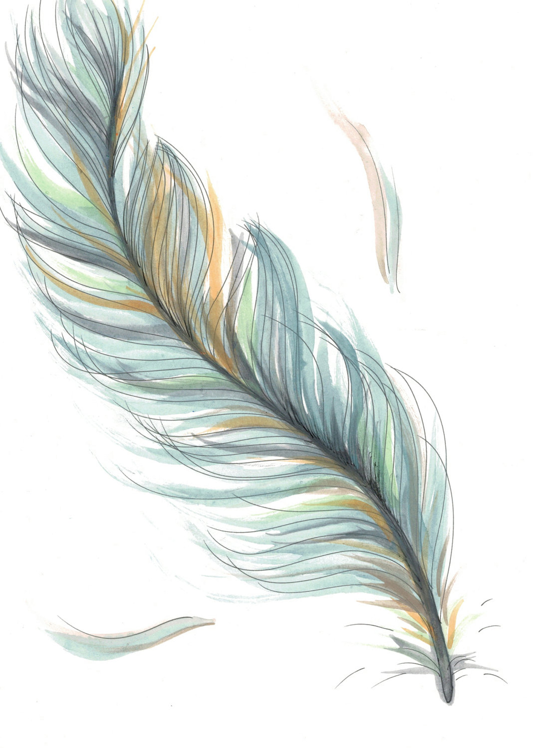 Feather Drawing | DrawingSomeone.com