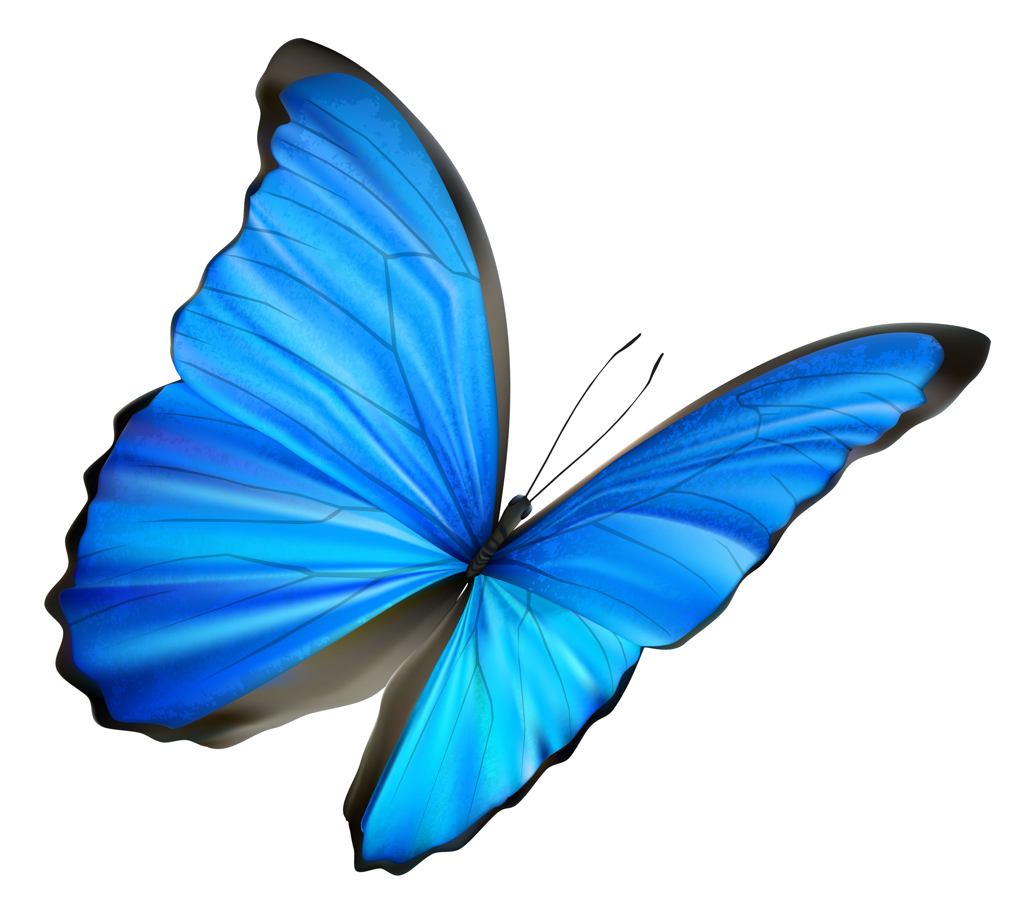 Bright Butterfly Hypnotherapy & Coaching