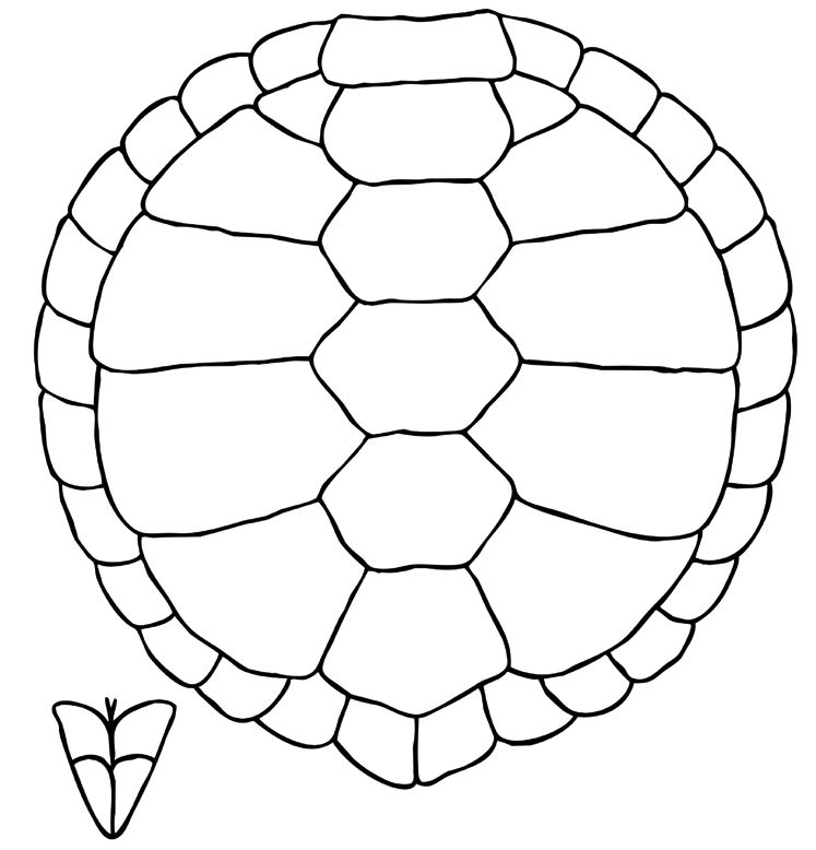 Turtle Shell Pattern Drawing - ClipArt Best