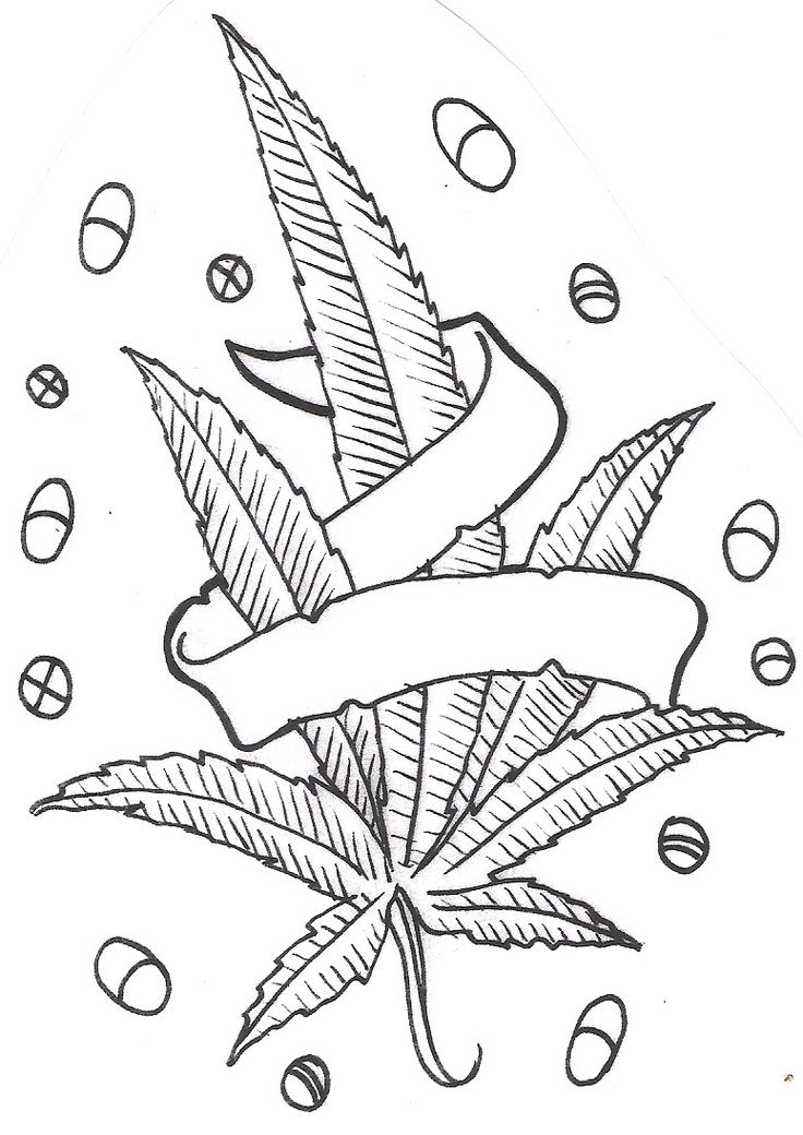 463 Simple Pot Leaf Coloring Pages for Adult