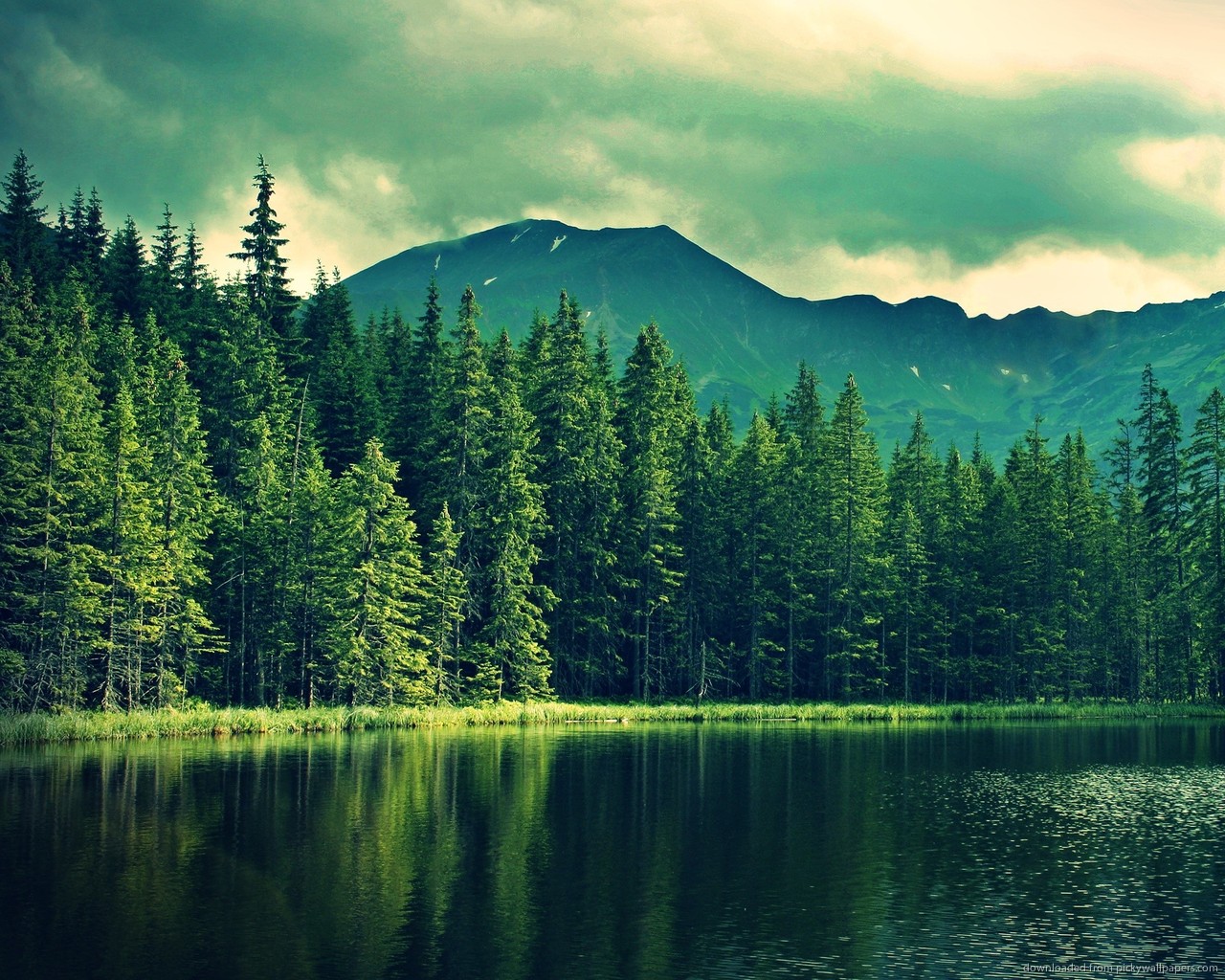Download 1280x1024 Pine Trees Near Mountain Lake Wallpaper