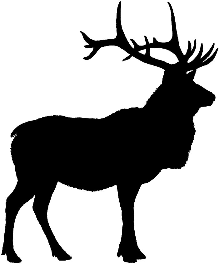 Elk Silhouette Clip Art Submited Images Pic Fly Tattoo