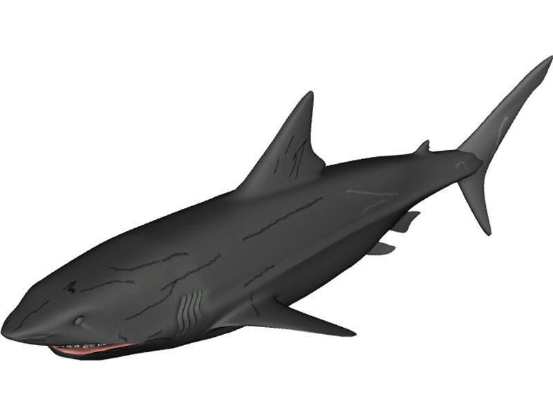 Great White Shark 3D Model Download | 3D CAD Browser