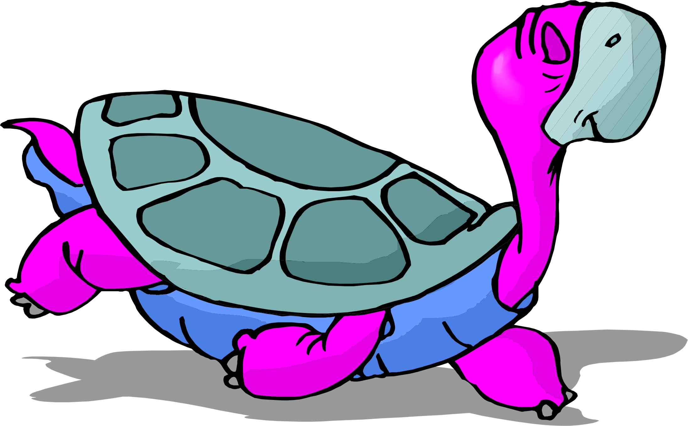 Funny Turtle Cartoon Images - WallpapersAK