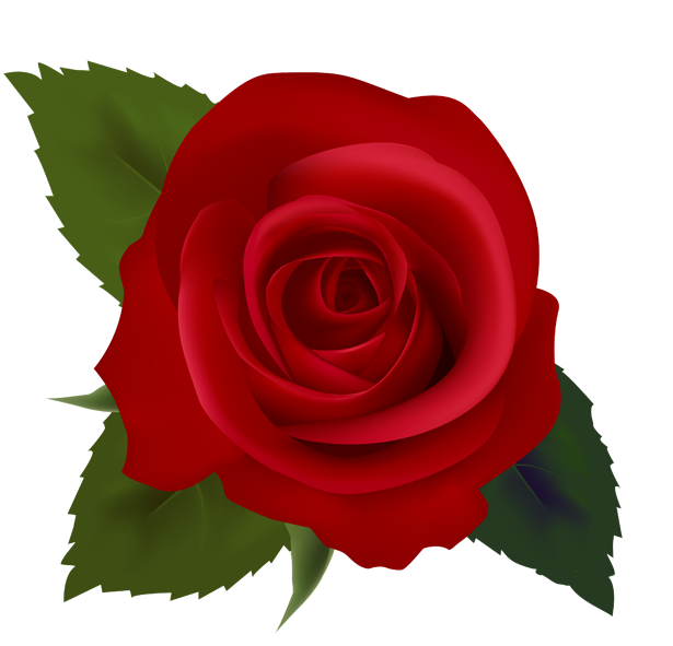 Red Rose Clip Art - ClipArt Best