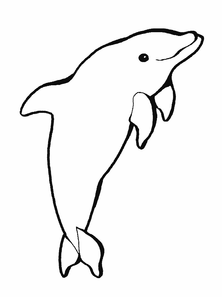 Dolphin Printable Images Printable Word Searches