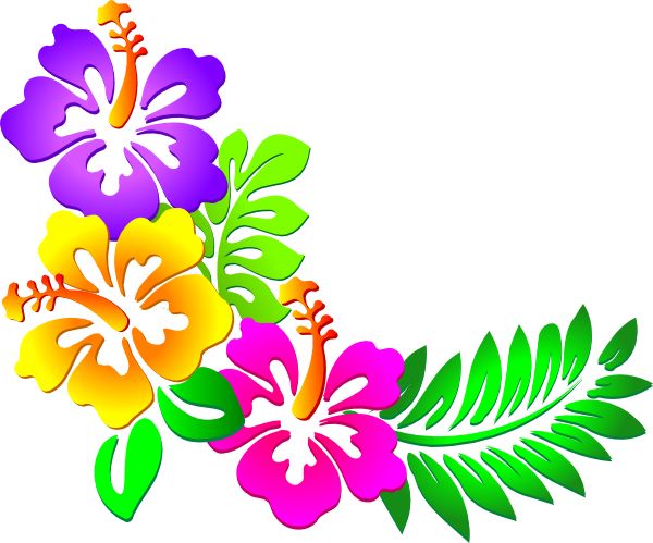 Hawaiian Theme on Pinterest | 25 Pins