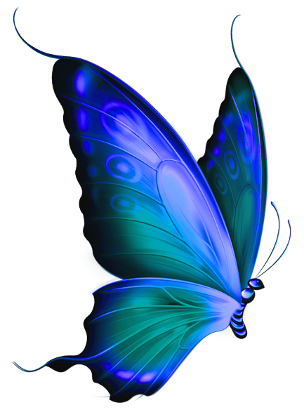 Blue Butterfly Clipart | Clipart Panda - Free Clipart Images