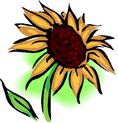 Clip Art - Clip art sunflower 429340