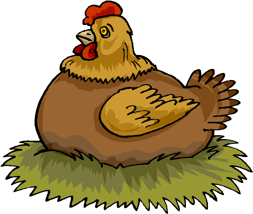 clipart chicken animation - photo #32