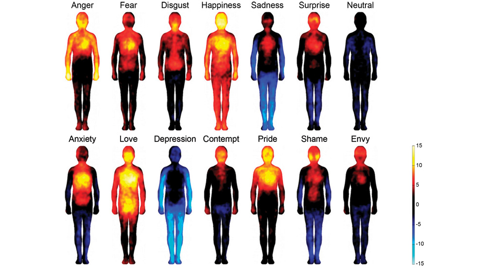 Human emotions mapped for the first time, shows where we feel love ...