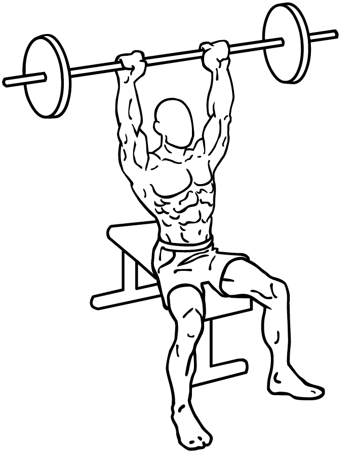 Seated Barbell Press Images & Pictures - Becuo