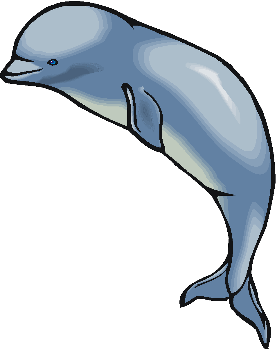 Images For > Whale Clipart
