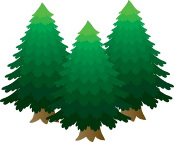 Cartoon Trees Images - Cliparts.co