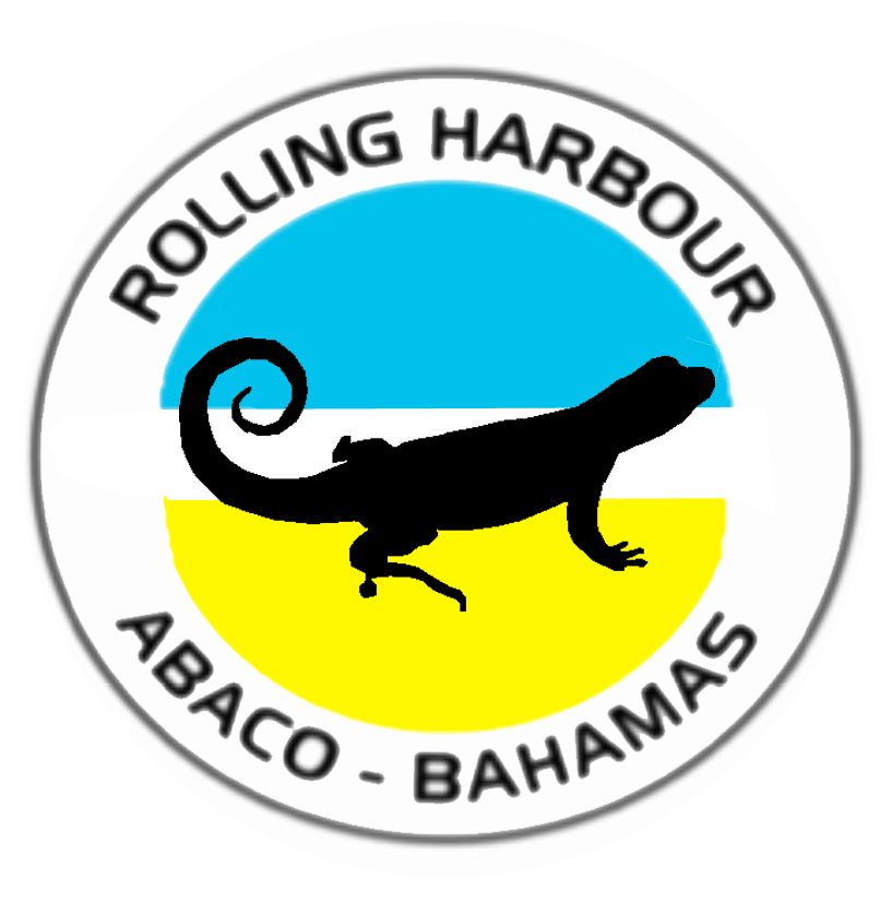 REPTILES, INSECTS & HUTIAS | ROLLING HARBOUR ABACO
