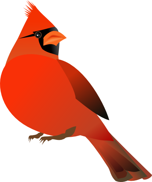 Red Cardinal clip art - vector clip art online, royalty free ...