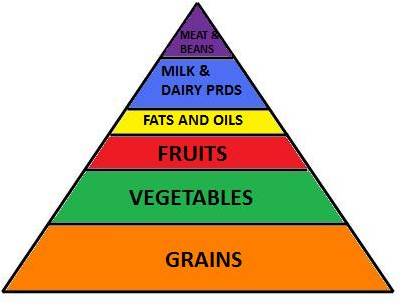 The Five Food Groups Pyramid For Kids
