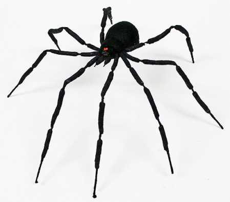 Halloween Spiders | Free Internet Pictures