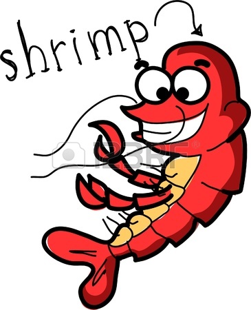 Pix For > Shrimp Clip Art