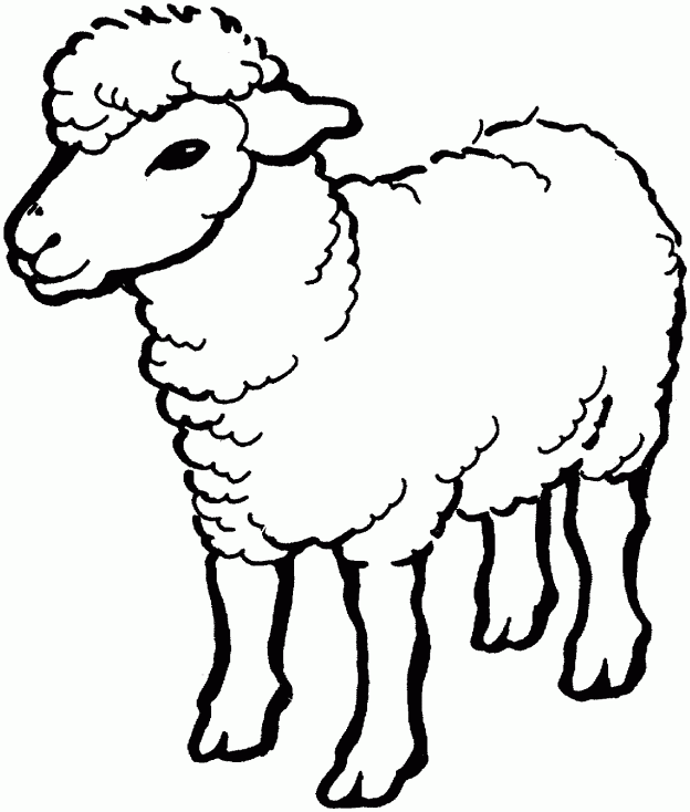 Free Printable Sheep Coloring Pages For Kids - ClipArt Best ...