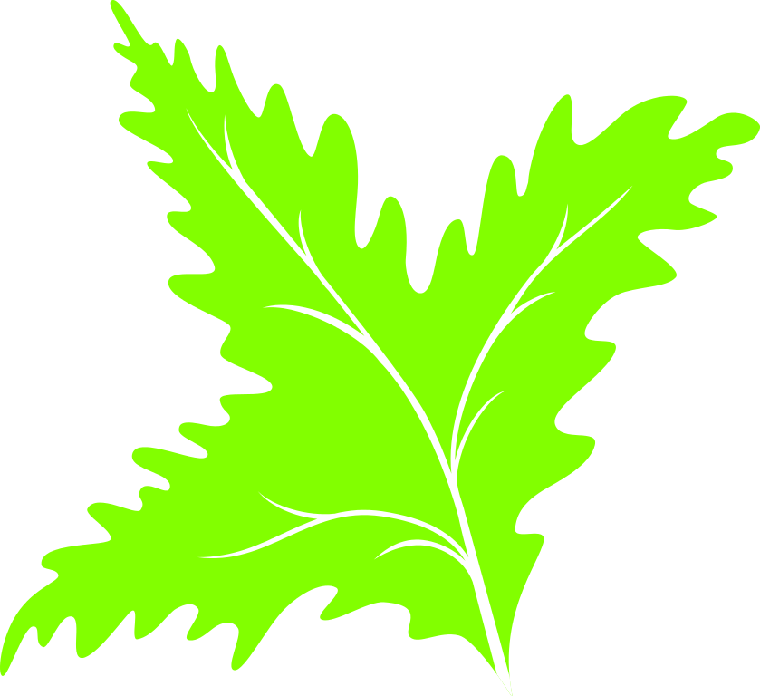 File:Leaf icon 08.svg - Wikimedia Commons