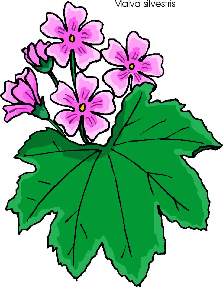 free clip art flower arrangements - photo #5