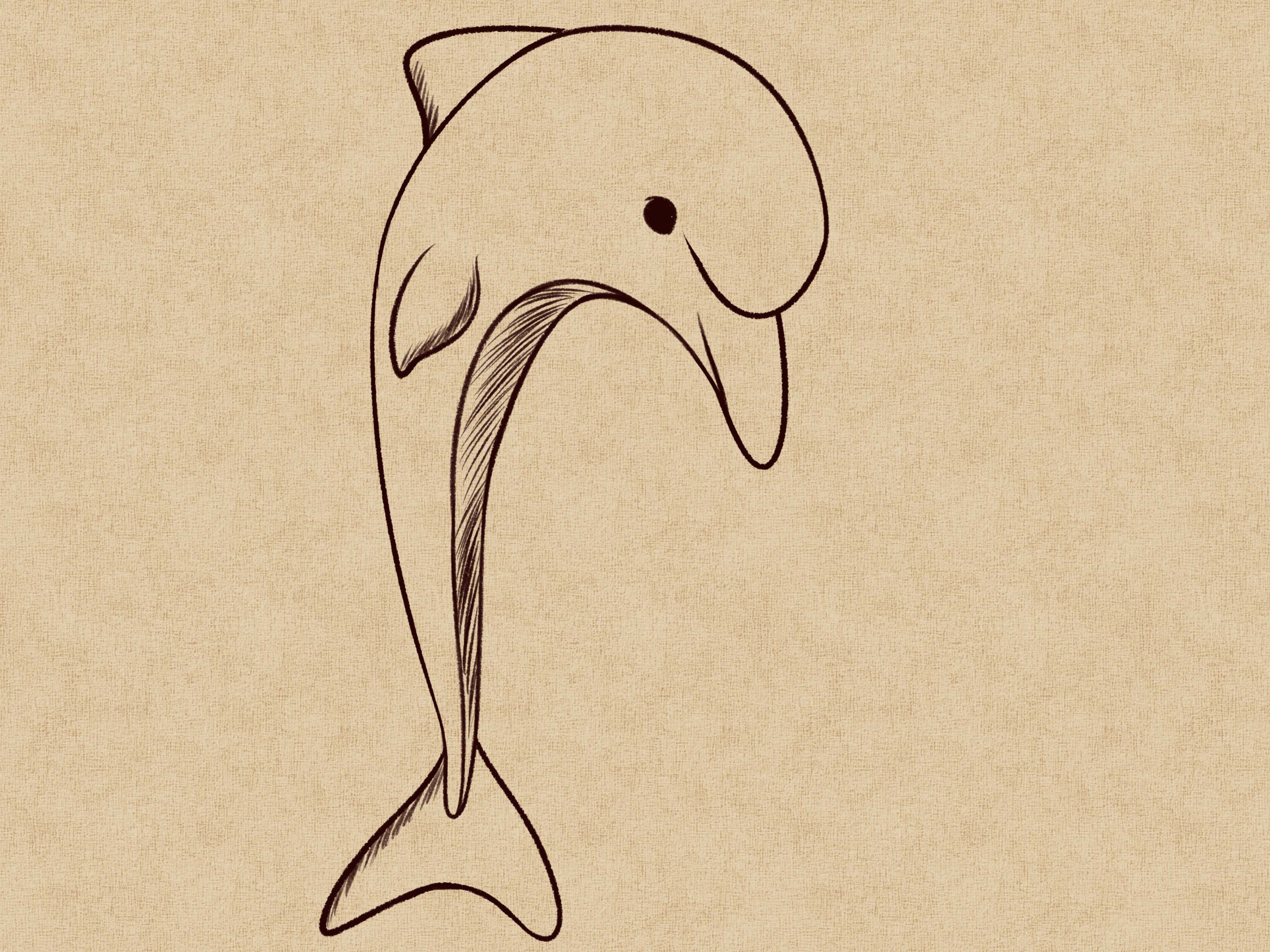 How to Draw a Dolphin: 14 Steps (with Pictures) - wikiHow