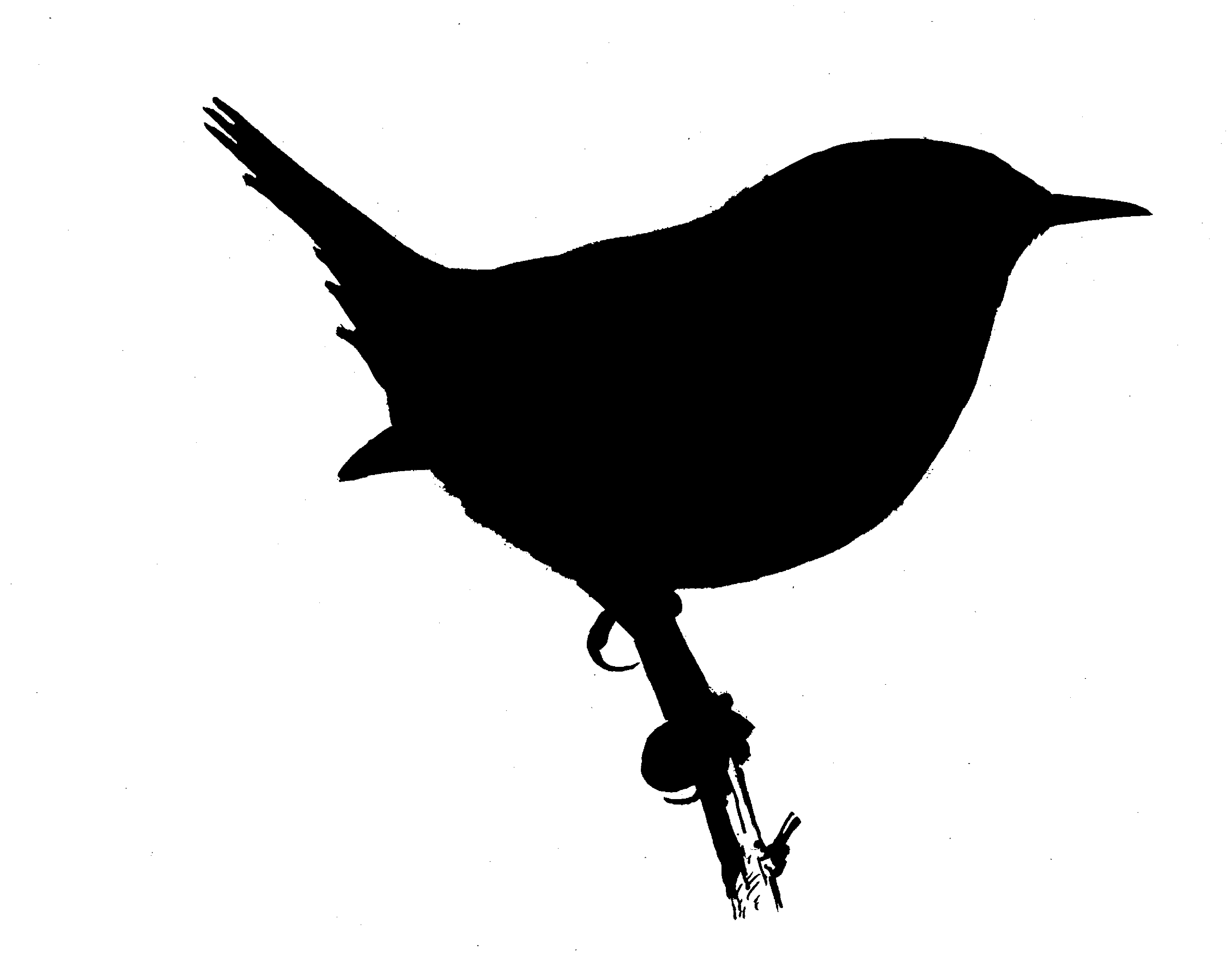 Bird Silhouette Cliparts co