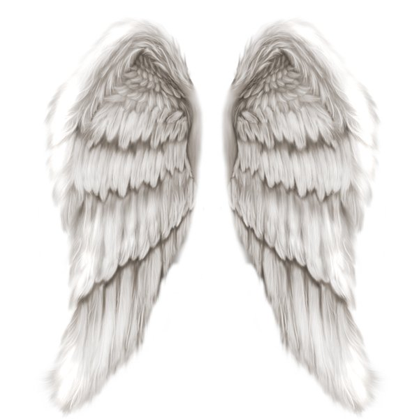 Angel Wings | Free Images at Clker.com - vector clip art online ...