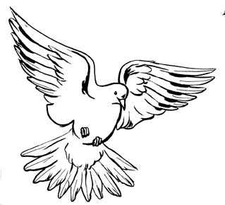 Merry Christmas | Dove, Symbols of Christmas and Christianity