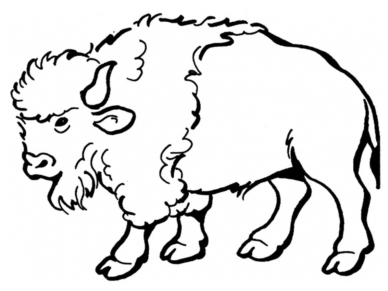 Bison Coloring Pages For Kids | Realistic Coloring Pages - ClipArt ...