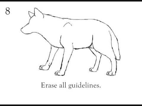 How to Draw a Wolf step by step beginner tutorial - YouTube