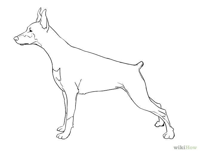 5 Easy Ways to Draw a Dog (with Pictures) - wikiHow