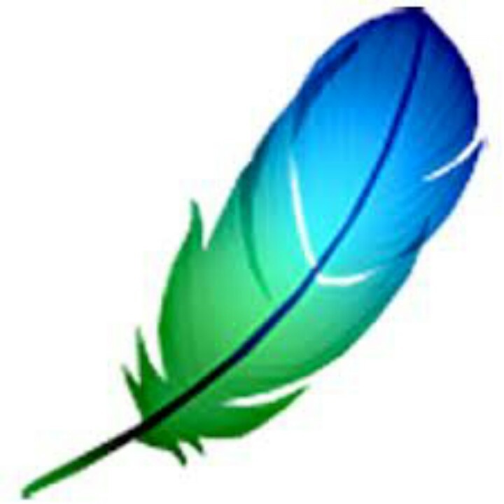 Feathers on Pinterest