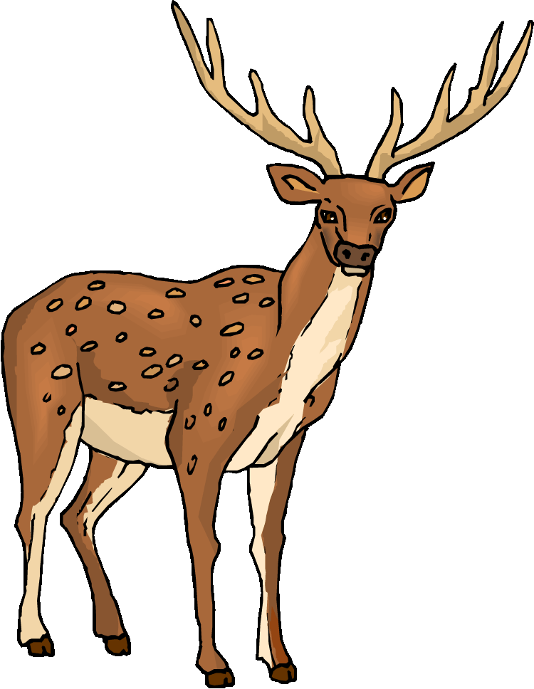 free clipart of deer - photo #32