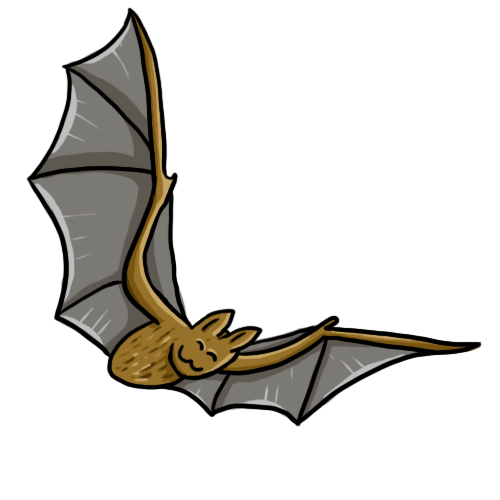 Pix For > Bats Clip Art