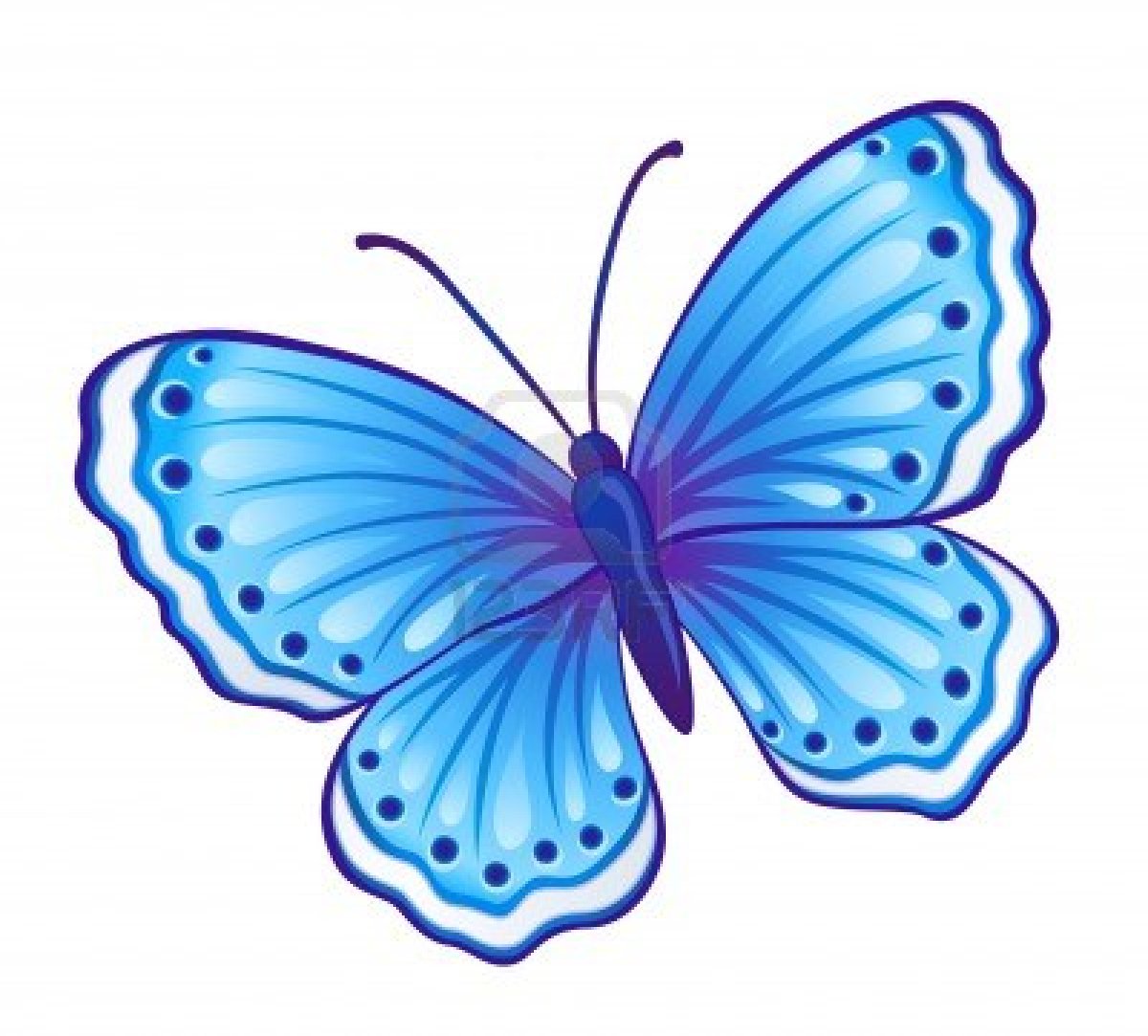 clip art cartoon butterfly - photo #43