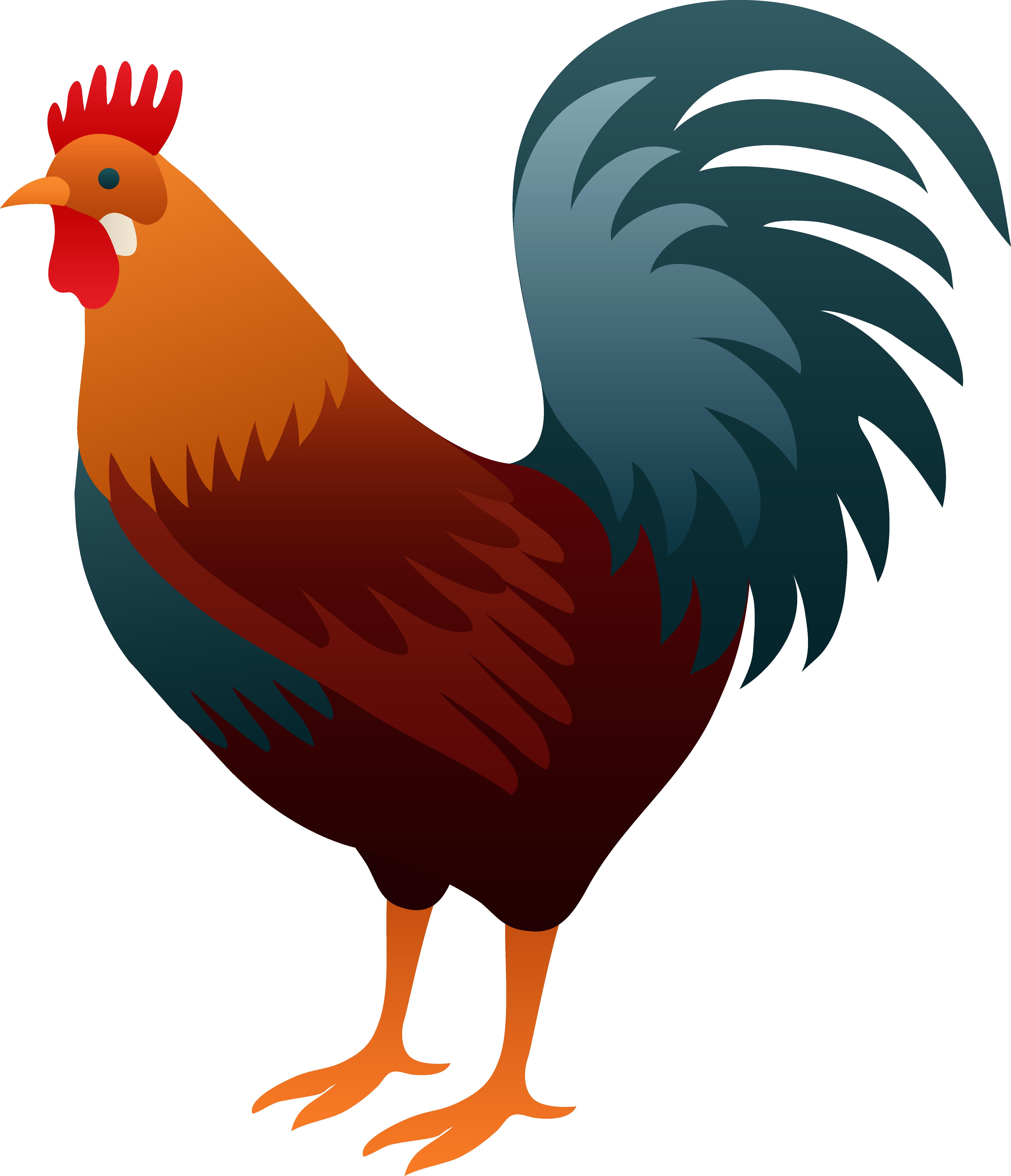 Colorful Rooster Design - Free Clip Art