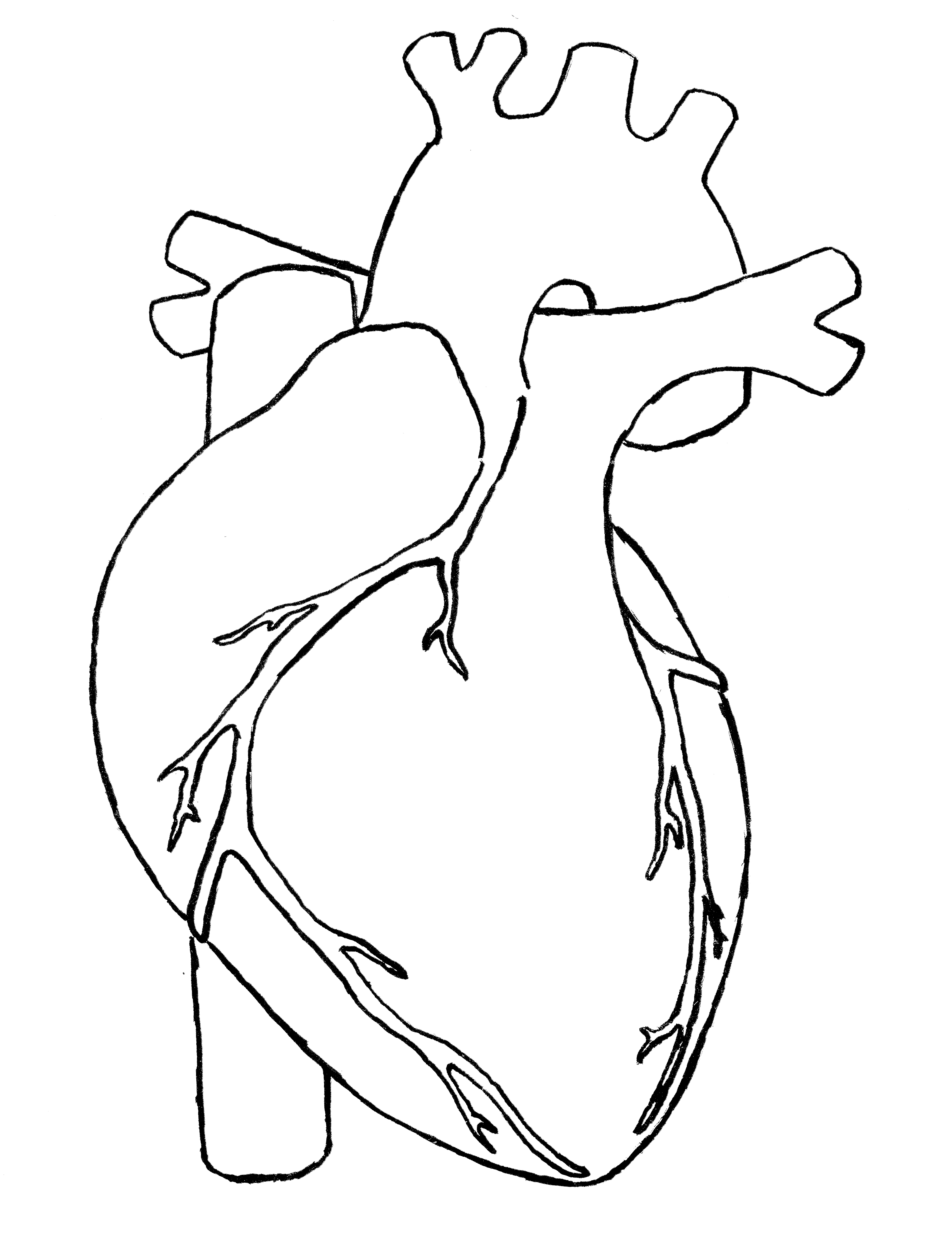 creating heart sketch