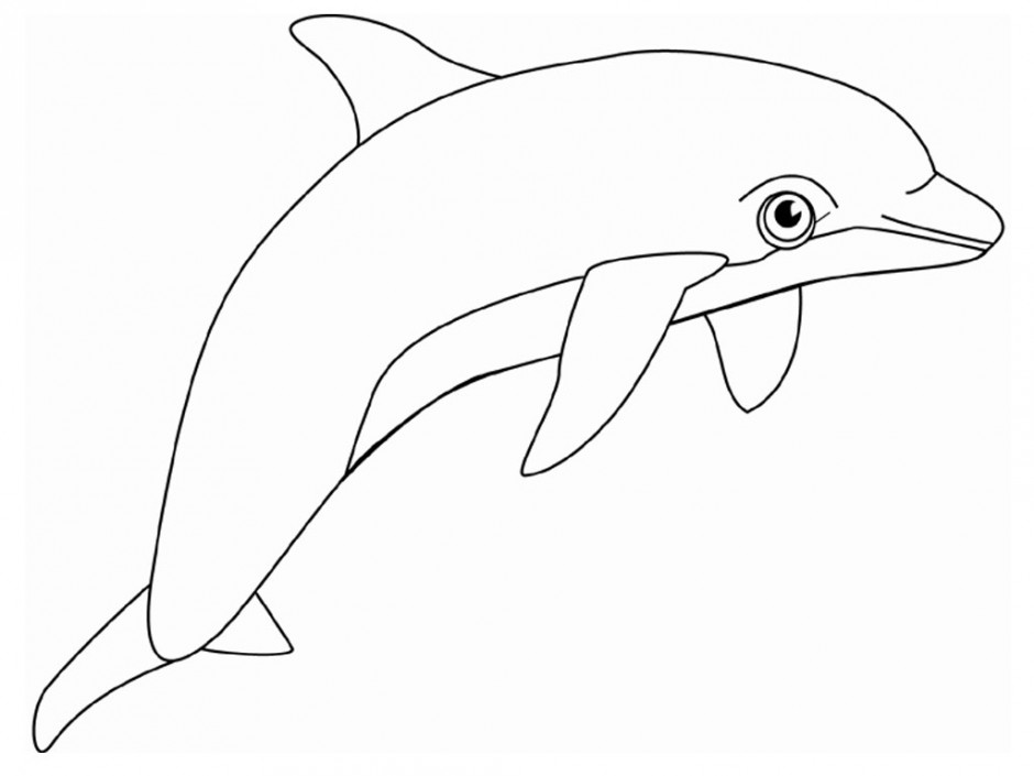 Dolphin Bottlenose Coloring Page Free Coloring Pages 212542 ...