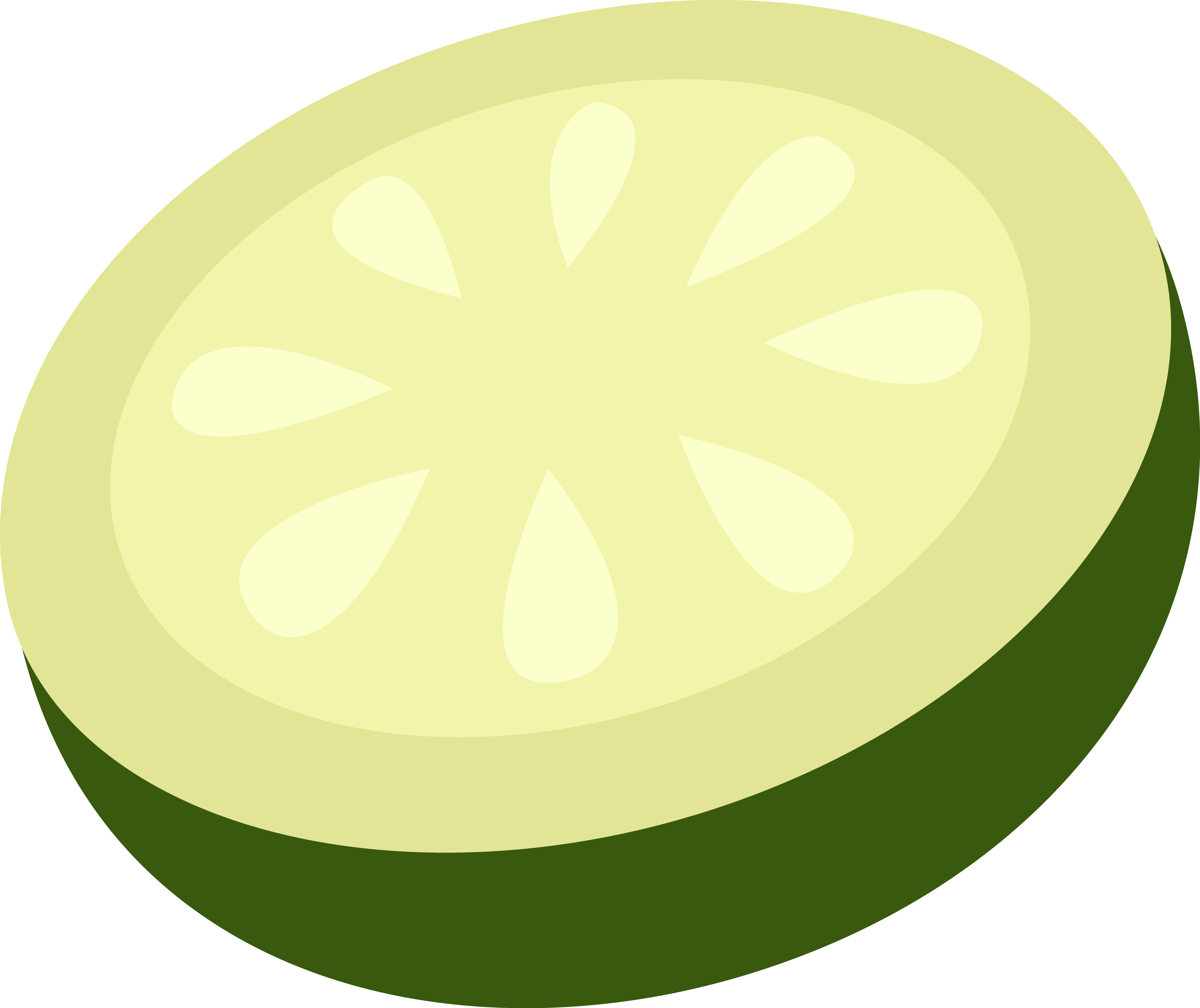 Cucumber Slice Vector Art - Free Clip Art