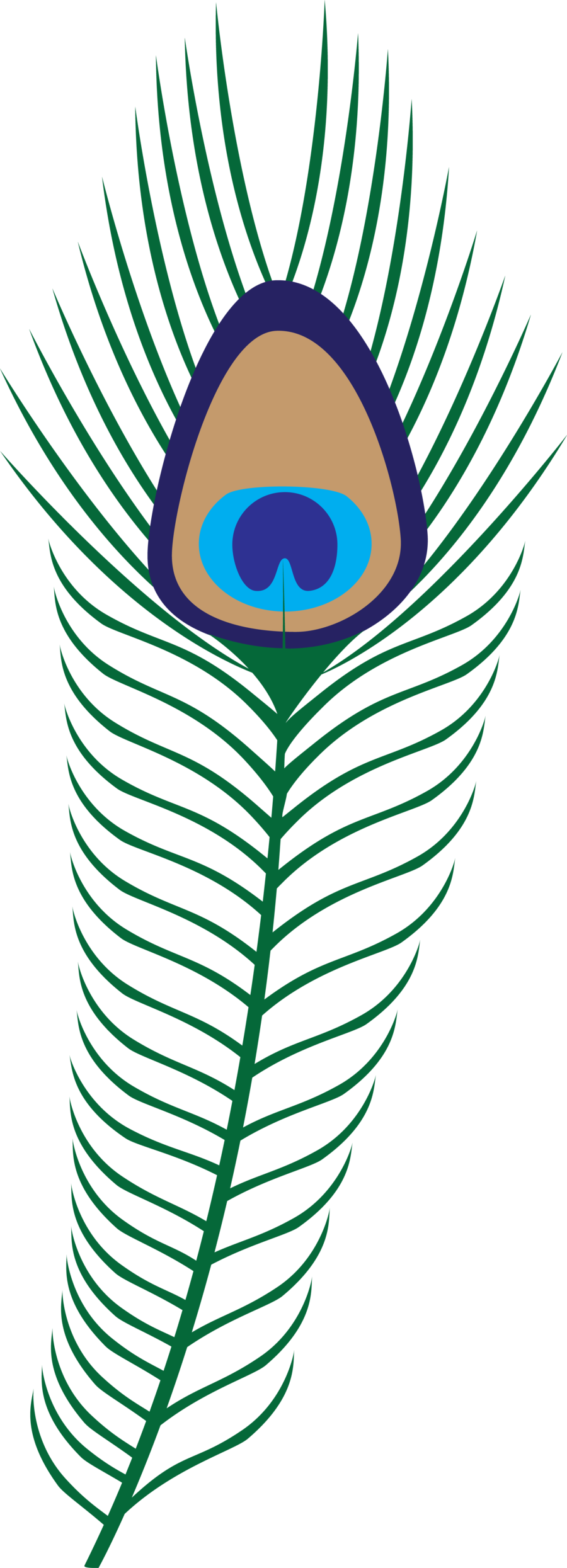 Peacock Feather | Clipart Panda - Free Clipart Images
