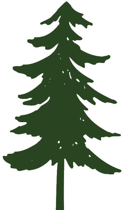 Pine Tree Graphic - ClipArt Best
