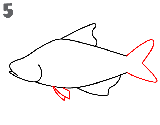 How To Draw a Fish - Step-