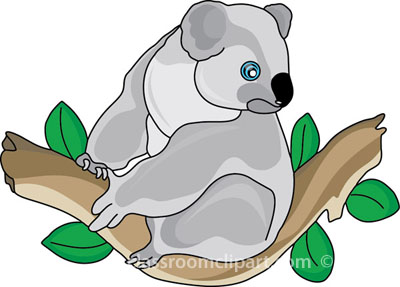 Koala Clipart : Koala_bear_212_2 : Classroom Clipart
